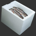 Ryby w izotermicznym pojemniku styropianowym z lodem